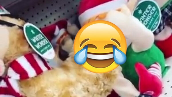 Dat kerstspeelgoed wordt ook steeds vreemder