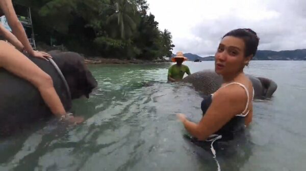 Olifant trakteert toerist op een geïmproviseerd trompetconcert