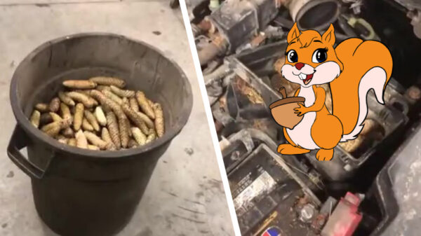 "Goh meneer de automonteur, ik heb helemaal geen vermogen meer!"