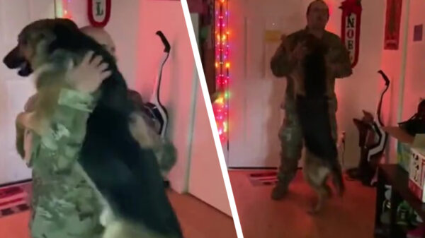 Eindelijk, baasje is weer thuis!