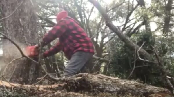 De twee hardste nutshots die je vandaag zult zien