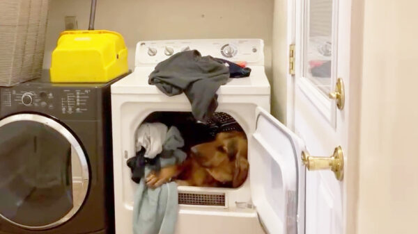 Jup, die kleren kunnen weer opnieuw in de was