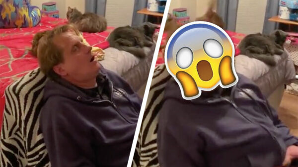 Je vent een hartverzakking bezorgen zonder ook maar iéts te zeggen