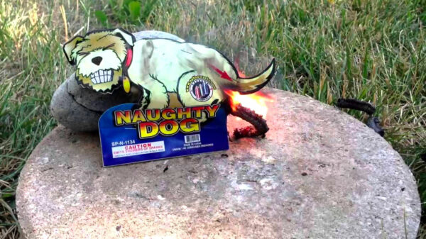 Dikke vette zucht: politie wilde voor Oud & Nieuw ook kindervuurwerk verbieden