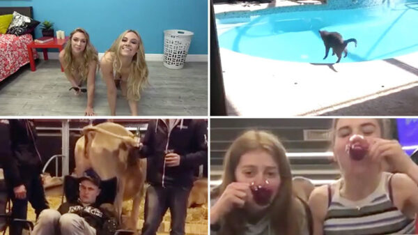 De 10 best scorende Instagramvideo's van de maand maart