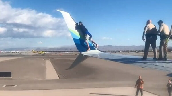 Koekwaus gearresteerd nadat hij op de vleugel van een vliegtuig klimt