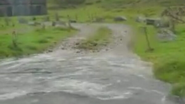 Ah joh, dat beetje water kun je wel hebben toch?