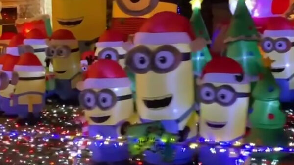 Oké, dat zijn best veel Minions