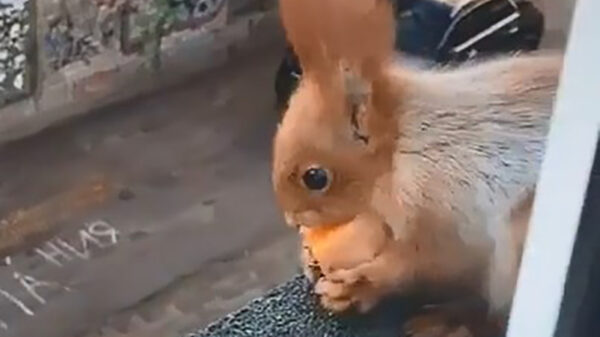 Sharing is caring met je nieuwe BFF