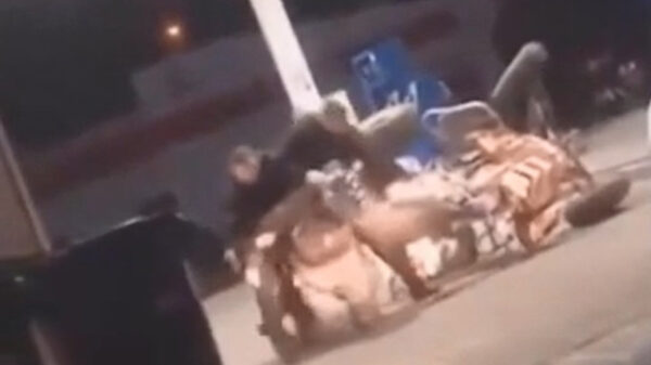 The Great Escape: sluwe vos weet uit handen van 2 politieagenten te blijven