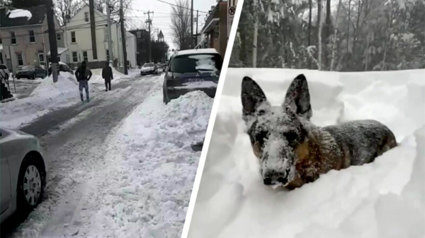 Winterterror in 'Murica: sneeuwstorm Gail zorgt voor 60 centimeter sneeuw