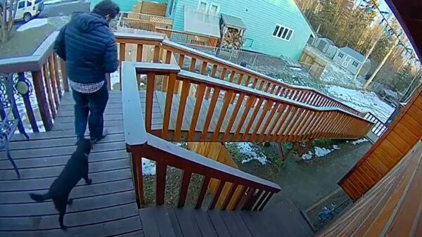 Gladjakker laat zijn hond uit