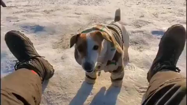 Fikkie heeft helemaal geen slee nodig om hard te gaan