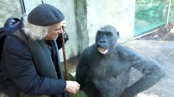 Oude doos: even gezellig bijkletsen met mijn gabber