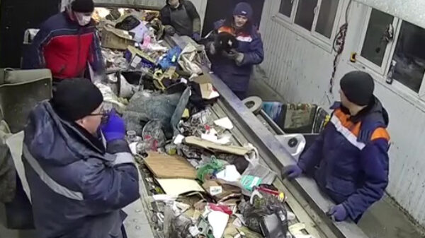 Afvalsorteerder ontdekt levende kat in plastic zak tussen het vuilnis