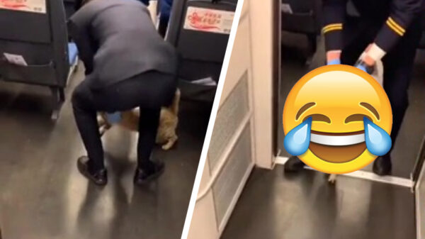 Zwartrijder zonder mondkapje wordt aan zijn pootjes de trein uit gesleurd
