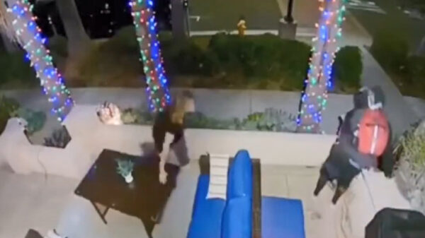 Grofgebekte tante betrapt schobbejak die haar BBQ probeert te jatten