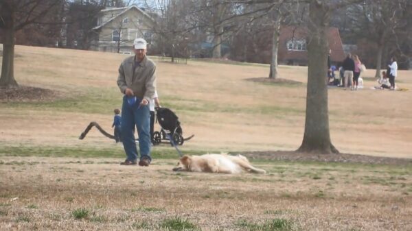 Oude doos: Max heeft geen zin om het park te verlaten