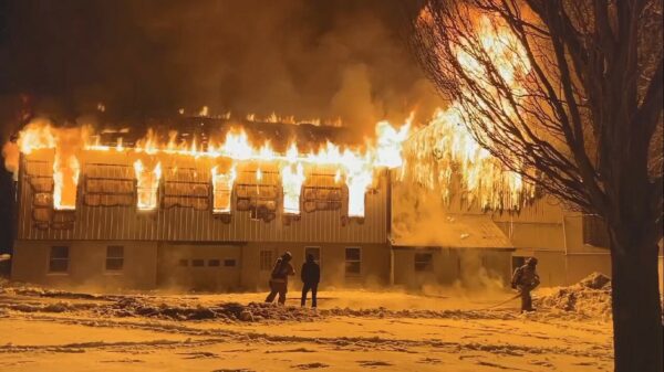 Brandweerman redt hond uit een brandende schuur