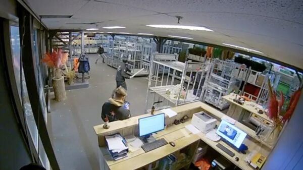 Vlak voor sluitingstijd nog even een klein potje bedrijfshonkbal ter ontspanning