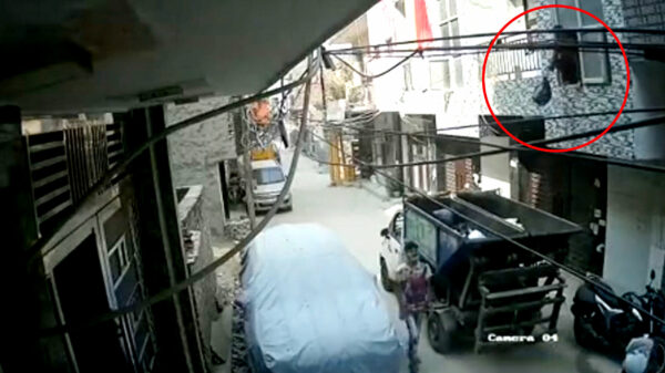 Lakse Leo knikkert vuilniszak én zichzelf uit het raam