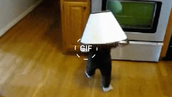 Gifdump: Dag van de Onnozele Kinderen