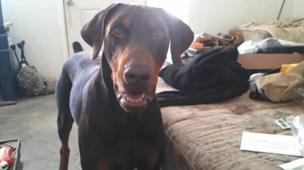 Hey Max, bal ruilen voor een biertje?