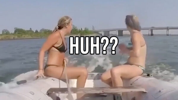 Jaarcompilatie: Alle faalhazen van 2020 op een rij