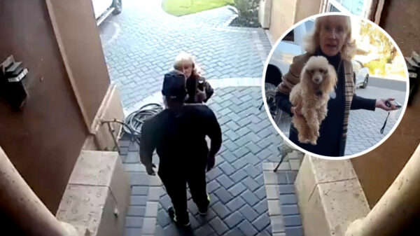 Buurvrouw Karen vraagt zich af waarom hij zich niet wat 'blanker' kan gedragen