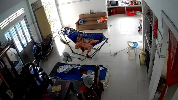 Dutje van moeder en baby wordt verstoord door een ongenode gast