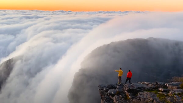 Tijd om even na te genieten met 'The Best of the Internet 2020'