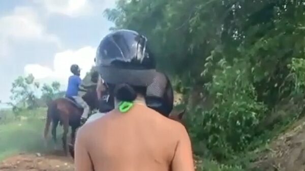 Paardenmeisje geniet van haar vakantie