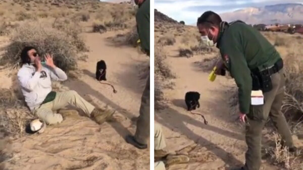 Dikke ophef om getaserde marinier, verhaal blijkt echter compleet anders te zijn