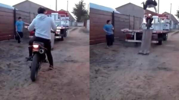 Enthousiaste faalhaas probeert zijn motor op een aanhanger te parkeren