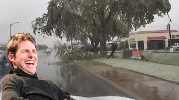 Hey agent Bromsnor, ruim jij dat takje even op?