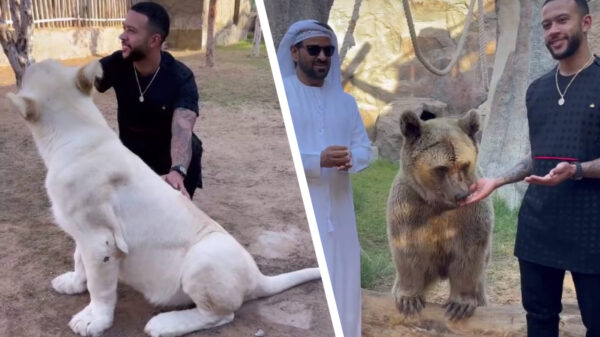 Depay weer op de foto met "wilde" dieren, Stichting AAP boos