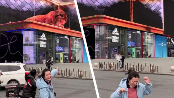 Supervet 3D-billboard is supervet