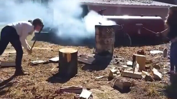 Houthakken levert je soms een platte neus op