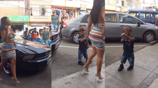 Mannetje met extreem leuk karakter slaat prima chick aan de haak