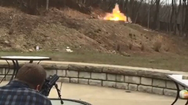 Koelkast slopen vanuit je achtertuin is behoorlijk vermakelijk