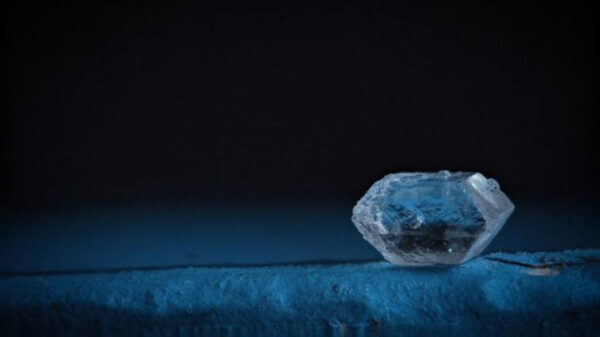 Alledaagse voorwerpen van heel dichtbij gefotografeerd zijn behoorlijk fascinerend