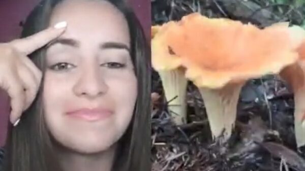 Hou jij ook zo van paddenstoelen?