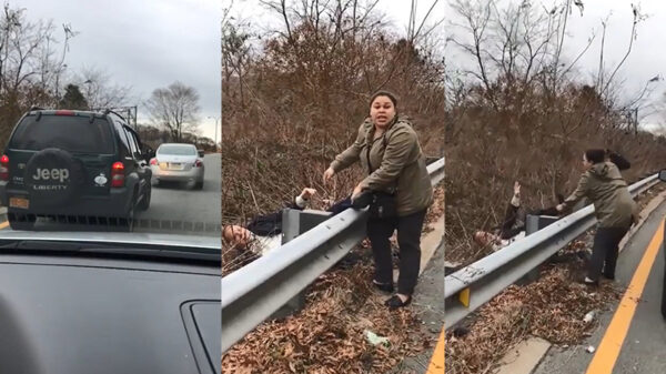 Agressieve hufter wordt tijdens road rage verrast door veerkrachtige vrouw