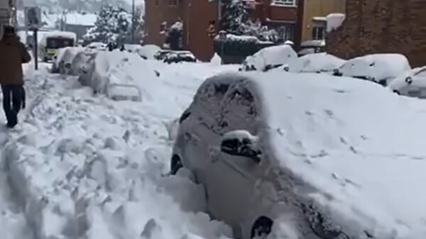 Je hond uitlaten in Spanje is op dit moment niet zonder risico