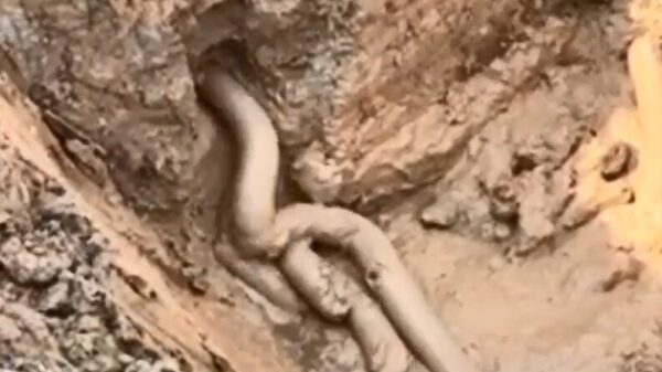 Ja hoor, het is weer maandag