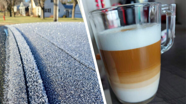 Tijd voor perfectie: een bevredigende verzameling van 23 perfecte OCD-pics