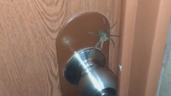 Laat maar, ik ga wel nooit meer naar buiten