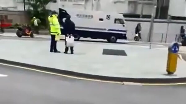 Dit vogeltje is eigenlijk een brute moordenaar