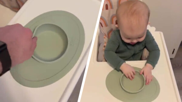 Tijd om de gloednieuwe antiknoei-kom aan de kotertest te onderwerpen