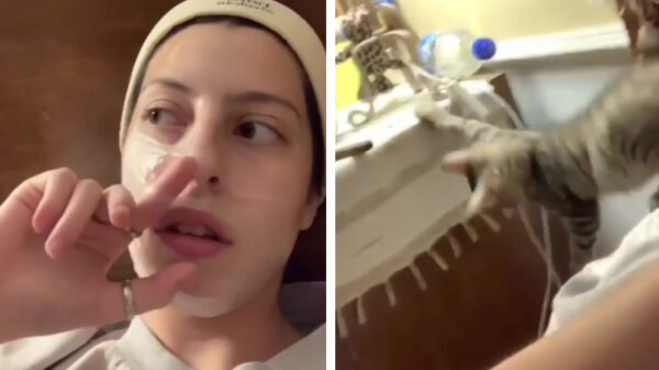 Kat maakt een saaie beautyvideo stukken interessanter